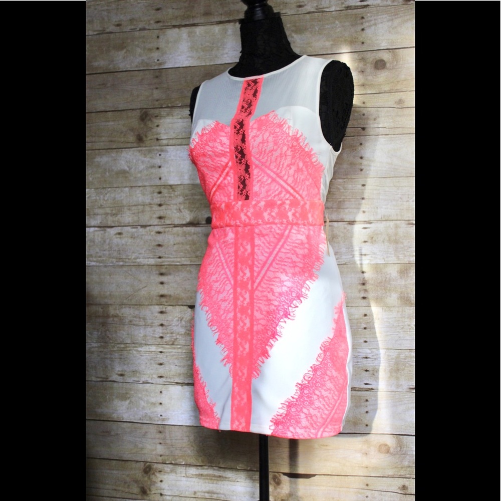 ARK & CO HOT PINK/WHITE CONTRAST LACE Dress NWT